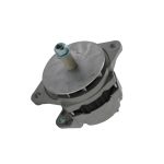 Alternator 12V 160A 3920616 3935529 for Caterpillar Engine 3176 Cummins Engine L10