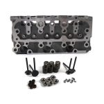 Complete Cylinder Head D902 with Valves for Kubota RTV900