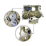 Oil Pump 178-6539 1786539 for Caterpillar CAT Engine 3066 Excavator 318C 319C 320C - Image 4