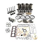 Overhaul Rebuild Kit for Kubota V2203-M Engine L4350DT L4400DT L4740 MX5100 R510 L5240 Indirect Injection