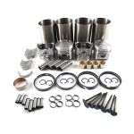 Overhaul Rebuild Kit for Kubota V2203-M Engine L4350DT L4400DT L4740 MX5100 R510 L5240 Indirect Injection - Image 3